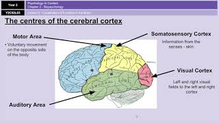 Introduction to Psychology Modern ways of studying the brain [upl. by Hayimas]