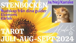 Stenbocken ♑️ JuliAugustiSeptember 2024 Tarot  Healer K [upl. by Akimert672]