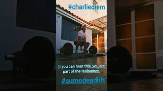 Learn the Sumo Deadlift charliediem sumodeadift deadlift gym motivation stengthtraining [upl. by Anaeel306]