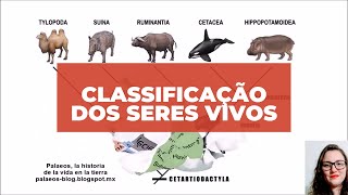 Classificação dos seres vivos [upl. by Nilyak]