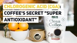 Chlorogenic Acid CGA Coffees Secret quotSuper Antioxidantquot [upl. by Annasoh824]