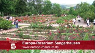 Europa Rosarium Sangerhausen [upl. by Linet]