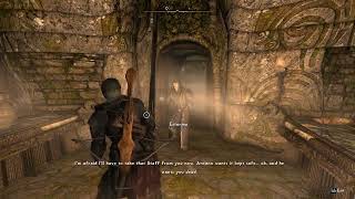 quotThe Average Thalmor Interaction WithThe Black Swordsmanquot [upl. by Aicemed]