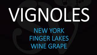 What is Vignoles How do You Pronounce Vignoles Wine New Yorks Finger Lakes Grape Trim [upl. by Ahset]