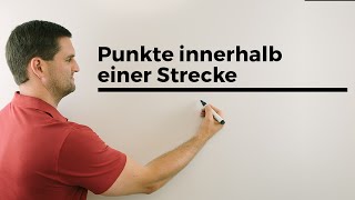 Punkte innerhalb einer Strecke bei Geraden und Ebenen Vektorgeometrie  Mathe by Daniel Jung [upl. by Nirual]