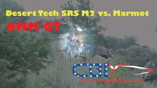 Desert Tech SRS M2 6GT vs Marmot [upl. by Yelahc]