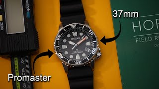 37mm CITIZEN Promaster Dive EcoDrive Pro Diver Best Dive Watch for Smaller Wrists Solar EO202008E [upl. by Lux435]