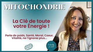 Comment la Mitochondrie Influence Notre Énergie et Notre Santé Biologie Cellulaire [upl. by Gillie763]