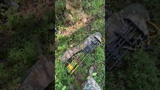 Opening day The day every bow hunter waits on bowhunting publiclandhunting outdoors tethrd [upl. by Laemaj]