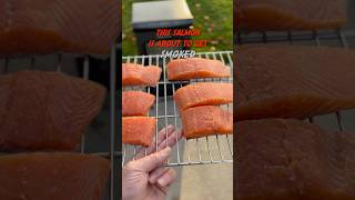 Simple Smoked Salmon Recipe with the East Oak Electric Smoker smokedfish [upl. by Bremer494]