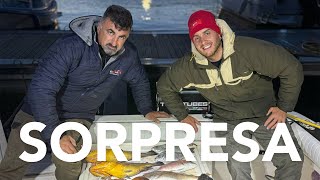 PESCA IN VERTICALE  GROSSA sorpresa nel FINALE [upl. by Kcirtemed]