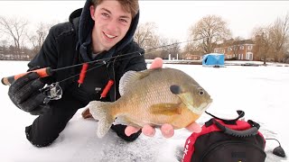 Jigging for Gills amp Crappie  A Day On The Ice [upl. by Acebber316]