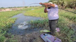 Catching Big Catfish in pondBig Catfish amp Maral fish Catching by Big HookBest hook fishing video [upl. by Dudley]