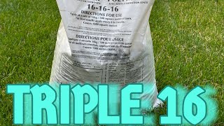 Before you buy Scotts Watch this‼️🔥fertilizer lawncare grass howto tipsandtricks lawnlife [upl. by Dieterich268]