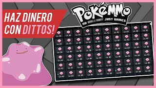 PokeMMO  Guía de FARMEO de DITTO 💲 2020 [upl. by Wes]