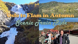 Oslo to Flam Scenic Train Ride in Autumn Worth it Watch and find out [upl. by Ayres]