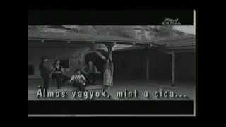 Rományi Rota Együttes Flv CigányzenékGipsy Folk Music [upl. by Creath573]