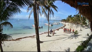 🔴 Recorded live footage from Akumal Bay  Mexico [upl. by Karalynn]