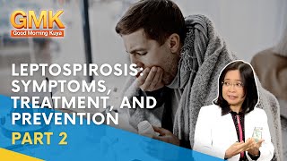 Leptospirosis Symptoms Treatment and Prevention Part 2  Usapang Pangkalusugan [upl. by Stanislaw894]