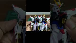 HG Strike Freedom Type II Mighty Strike Freedom [upl. by Yor]