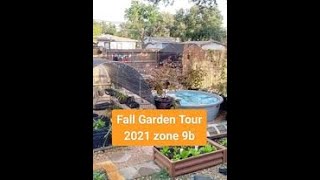 South Texas Fall Garden Tour Zone 9B Vegetables Herb Kitchen Garden amp Fruit Trees Nov 3rd 2021 [upl. by Adeuga]