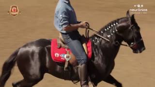 Jedah Pontal Campeão Cavalo Graduado de Marcha Picada  Nacional 2017 [upl. by Littman]