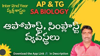 SA BIOLOGY అపోప్లాస్ట్ మరియు సిం ప్లాస్ట్ వ్యవస్థలు DSC [upl. by Finnigan]