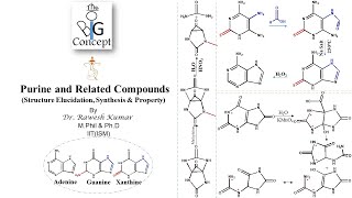 Purine and related compounds Structure Elucidation Synthesis amp Property [upl. by Chara]