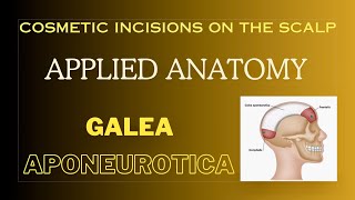 Galea aponeurotica Cosmetic incisions Applied anatomy of scalp [upl. by Netsua]