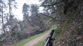 Bishops Woods MTB [upl. by Adgam]