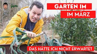 Der Garten im März  Hochbeet Stauden und Bäume ein Rundgang im Grünen [upl. by Phillipp]