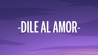 Aventura  Dile Al Amor LetraLyrics [upl. by Ardme325]