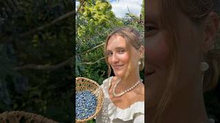 mahonia berry syrup ✨🧚 nature foraging forager recipe recipes healthyrecipe healthyrecipes [upl. by Lara916]