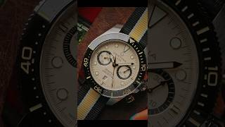 🔥 Certina Action Diver 1 minute Review WatchReview watch LuxuryWatches Chronograph [upl. by Uehttam]