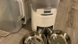 How to Setup Automatic Cat Feeder for 2 Pets [upl. by Atiuqel398]