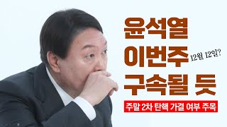 비루한 살무사 검찰 quot이러다 다 죽는다quot이번주 윤석열 구속할 듯 토픽 [upl. by Cosmo]