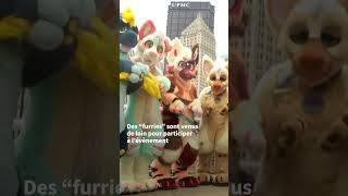 Rassemblement géant de quotfurriesquot à Pittsburgh  AFP [upl. by Edithe]