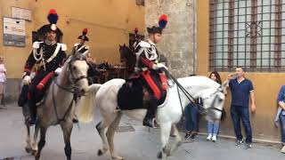 Palio di Siena straordinario carabinieri a cavallo [upl. by Joyan]