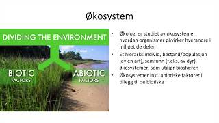Naturfag  Økologi økosystemer og bærekraftig utvikling [upl. by Bruyn]