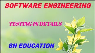 TESTING INTRODUCTION  SOFTWARE ENGINEERING COURSE [upl. by Aihsenet]