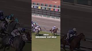 GOLDIKOVA The Only Horse To Win Three Straight Breeders Cup Races BC24 [upl. by Miculek]