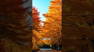 Cabot Trail Fall Foliage A Scenic Nova Scotia Adventure [upl. by Arraic]