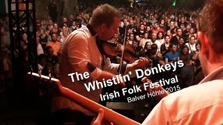 The Whistlin Donkeys  Irish Folk Festival Balver Höhle 2015 [upl. by Naol]