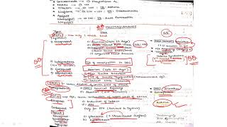 AUTOCOIDS pharmacology PART3prostaglandins analog and its uses [upl. by Cranford]