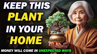 If you keep this plant in your home money will come in unexpected ways  money tree rituals [upl. by Dwan]