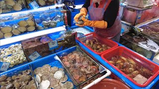 KOREA SEAFOOD MARKET Where to eat affordable and fresh seafood in Korea [upl. by Ytsirc381]