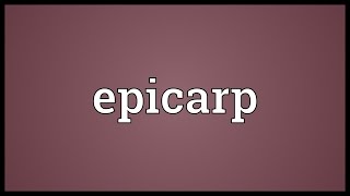 Epicarp Meaning [upl. by Iver]