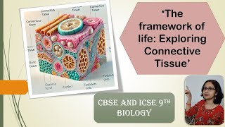 What is connective tissue TypesFunctionDiagramCBSEICSE9thBiology [upl. by Lillian388]