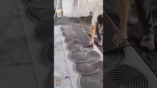 How to Tiles Floor  design shotrs tilesdesign youtubetopvideo 👌 [upl. by Urbannai]