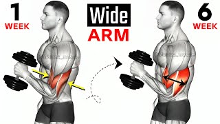 FULL ARMS WORKOUT  Biceps and Triceps Workout  Maniac Muscle [upl. by Notyarb873]